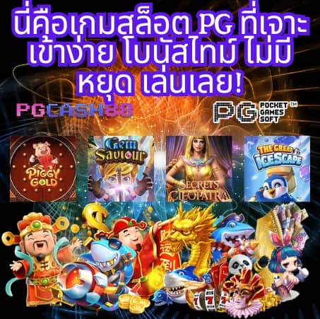 moo55 ทางเข้า