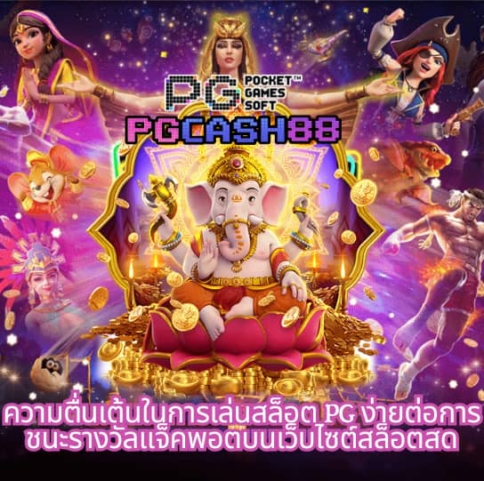 moo55 ทางเข้า